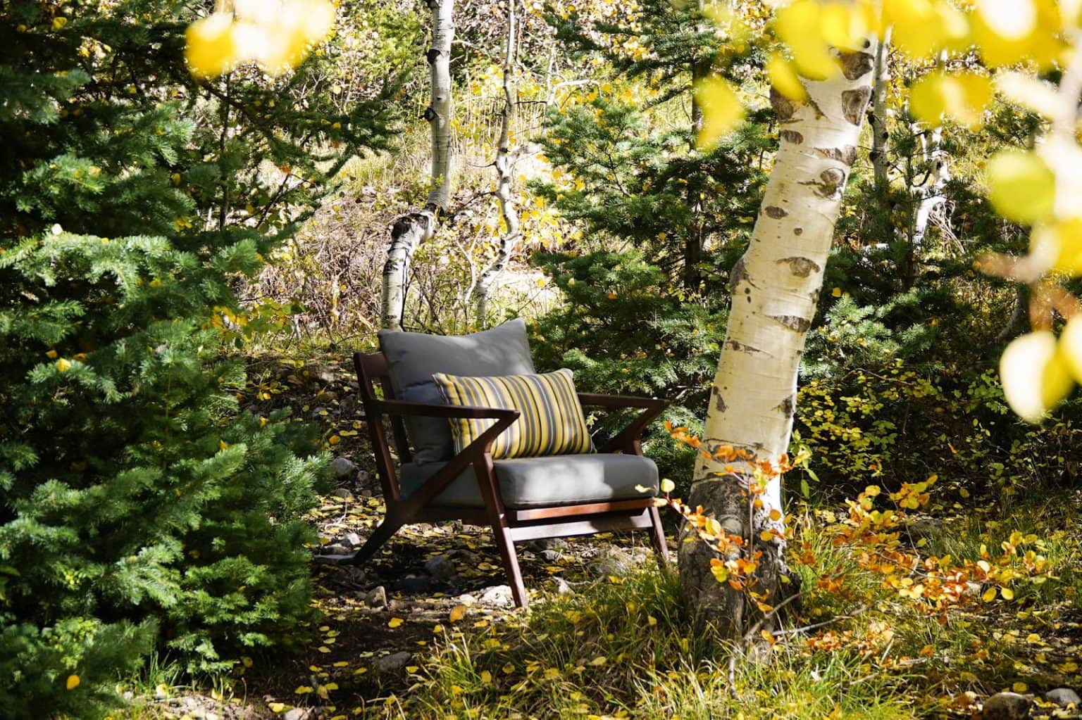 Eucalyptus vs Teak Comparison 2023