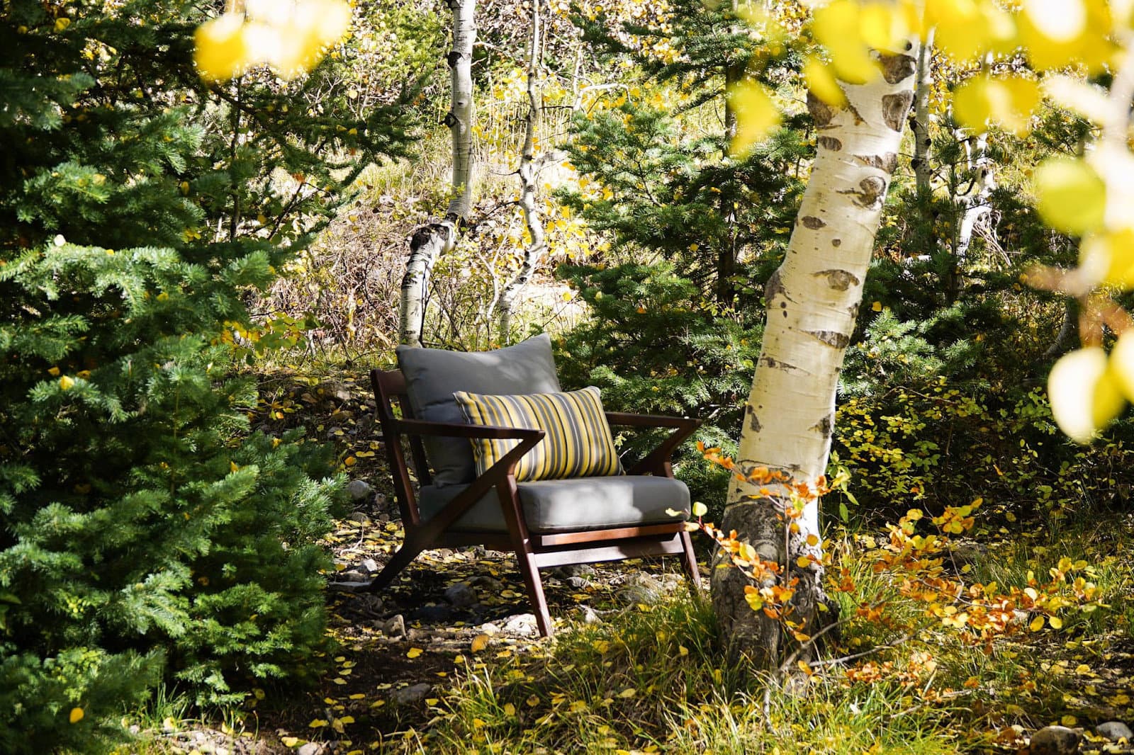 Eucalyptus vs Teak Comparison 2023