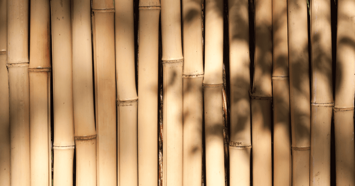 Can You Stain Teak Wood? 2024 Things You Need To Know!