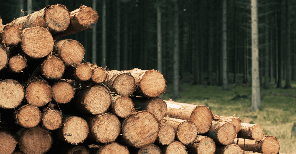 An Essential Guide On How To Make Wood Look Like Teak 2024